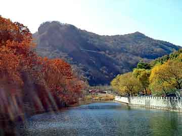 石家庄24周能吃打胎药吗（孕24周可以打掉吗）